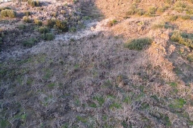 tour with tasting in the Bronte pistachio plantations - Why This Tour Stands Out in Sicily