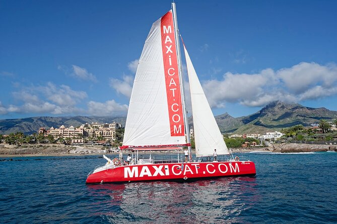 Tour with Whale and Dolphin Watching plus food included - Discover Tenerife’s Marine Life with an Inclusive Catamaran Tour