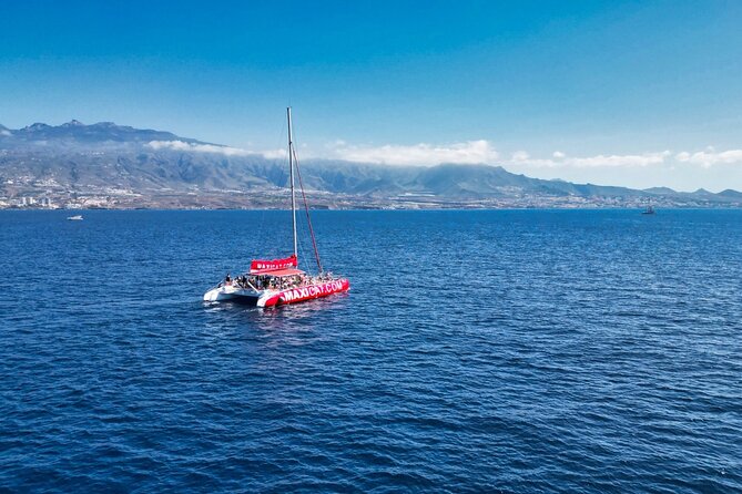 Tour with Whale and Dolphin Watching plus food included - Key Points