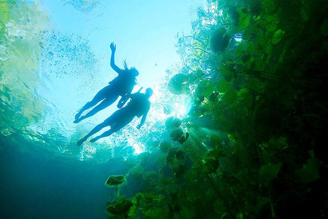 Tour Xenotes Advenure From Cancun & Playa del Carmen - Pricing, Cancellation, and Booking Tips