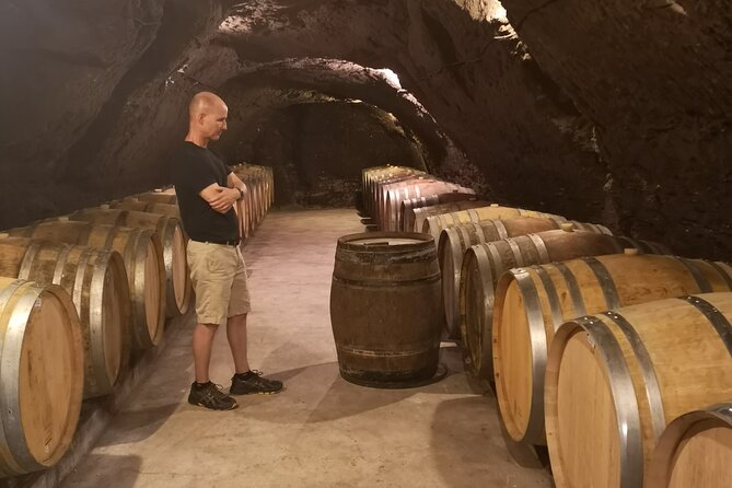 Touraine-Chenonceau private tour - Considerations and Practical Tips