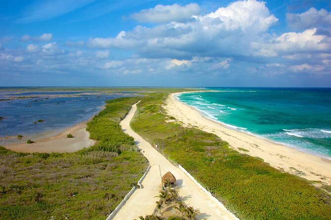 Tours along the beaches of Cozumel Mexico by buggy all inclusive - Discover Cozumel’s Beaches with a Full-Day All-Inclusive Buggy Tour