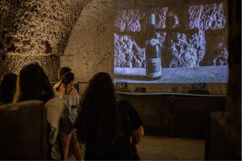 Tours/Amboise: Private Chambord and Chenonceau Chateau Tour - Accessibility and Physical Considerations