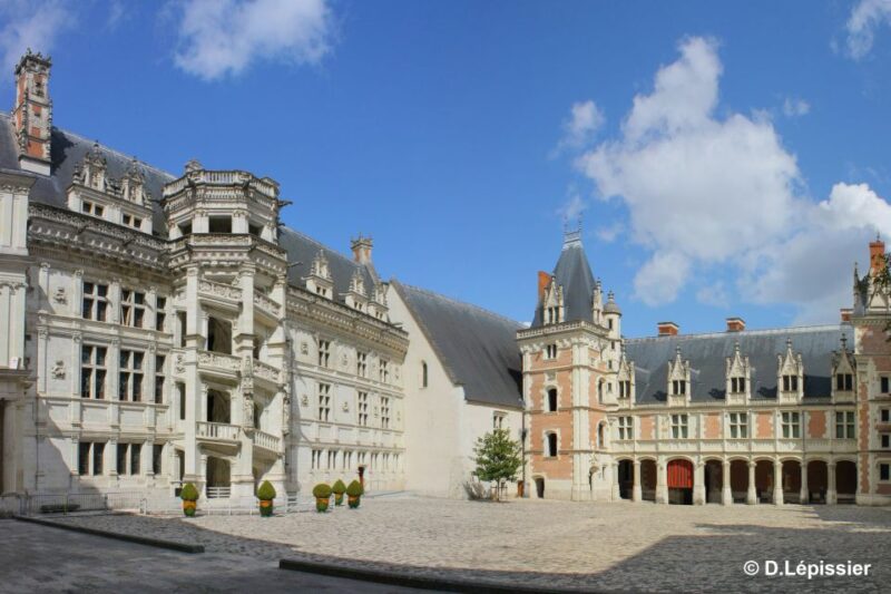 Tours/Amboise: Private day trip Chambord, Blois & Cheverny - Who Will Appreciate This Tour Most?