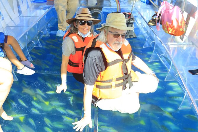 Tours in Cabo, Paseo al Arco and Fin de la Tierra in the only Clear Boat - The Experience’s Strengths and Limitations