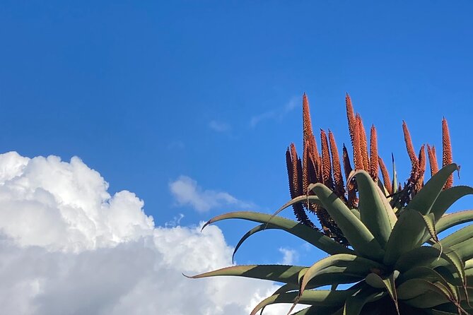 Tours of Santa Barbara - Montecito: The Hollywood Hills of Santa Barbara