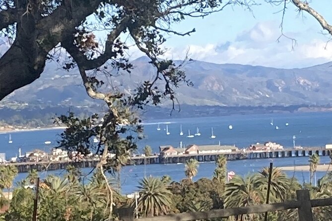 Tours of Santa Barbara - Funk Zone: Wineries, Art, and Local Flavors