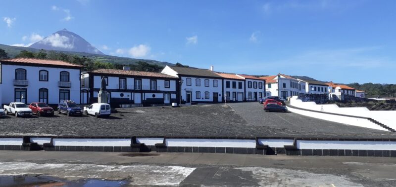 Tours on Pico Island - Cultural and Natural Landscape - Explore Pico Island’s Cultural and Natural Treasures in One Day