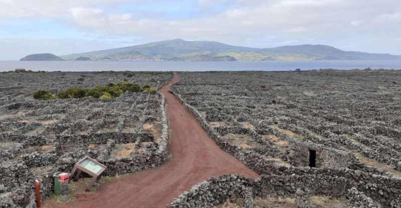 Tours on Pico Island - Cultural and Natural Landscape - Discovering Pico’s UNESCO World Heritage Vineyard Landscape