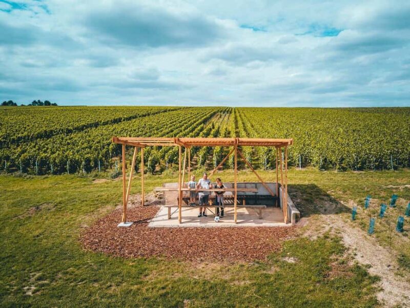 Tours-sur-Marne: Cellar Tour & Champagne Tasting - Who Will Appreciate This Tour Most