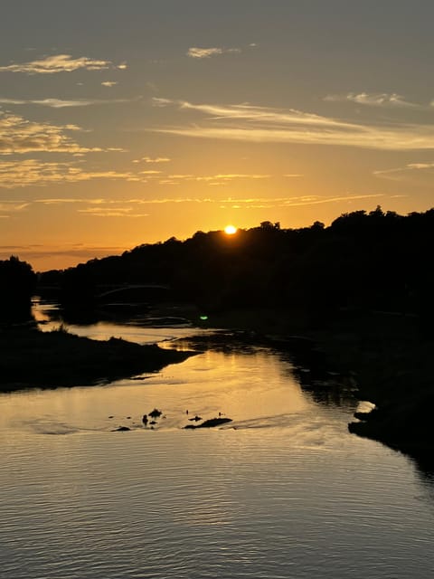 Tours : Walking Tour - History, Culture and Arts - Highlights of Tours City Center: Place Plumereau, rue des Halles, and More