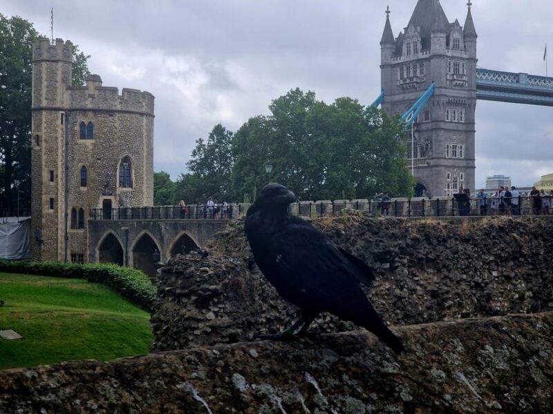 Tower of London Crown Jewels and English Royal History Tour - What’s Not Included and Important Tips