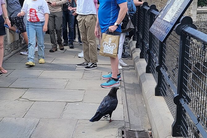 Tower of London: Guided Tour with Thames River Cruise - Practical Details: Group Size, Accessibility, and Timing