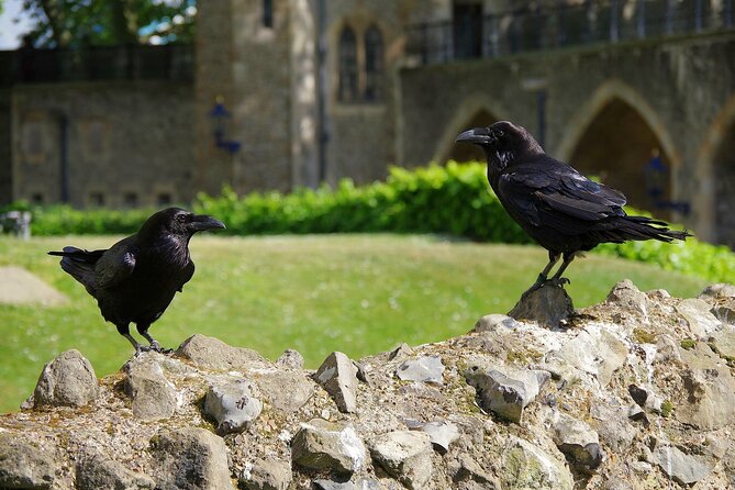 Tower of London Private Walking Tour - The Starting Point: Meet at Tower Hill