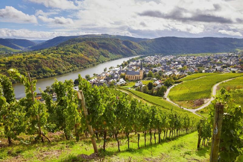 Traben-Trarbach / Bernkastel-Kues, Moselle: Wine experience hike - Explore the Moselle Valley on a Wine Experience Hike