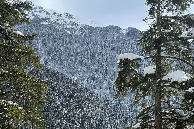 Trabzon Sümela Monastery, Cave, and Hamsiköy Daily Tour - Torul Glass Terrace: A Unique Glass Observation Point