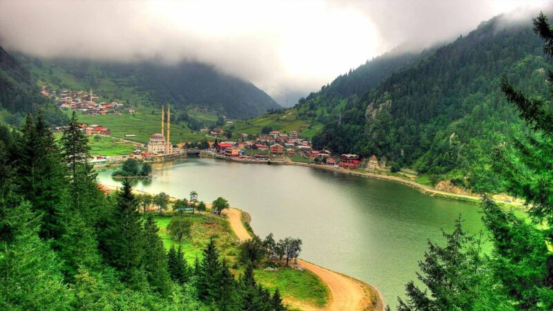 Trabzon: Uzungöl Group Tour, Explore The Nature & Taste Tea - What Sets This Tour Apart