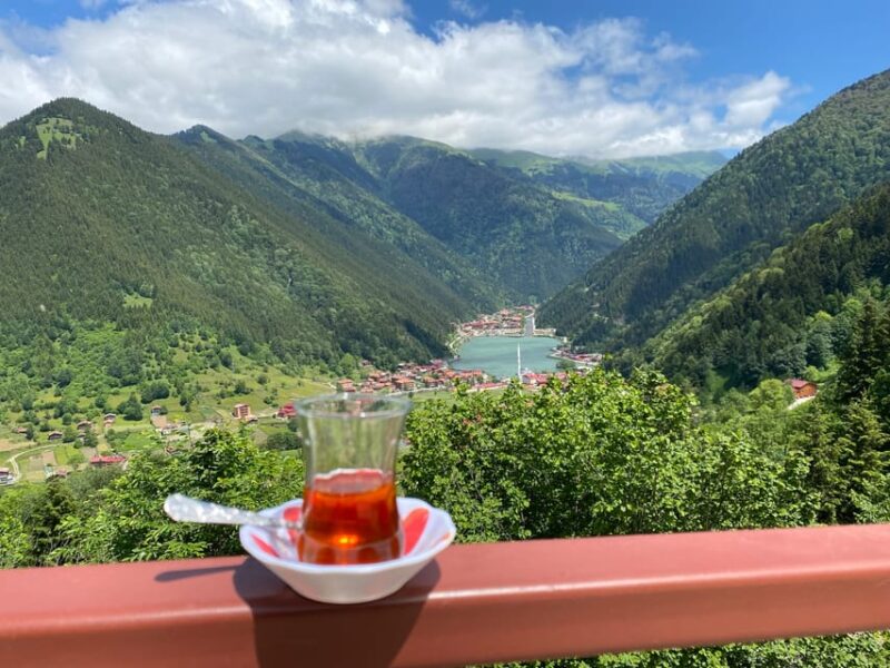 Trabzon: Uzungöl Private Tour & Explore The Nature & Tea - Practical Details and Booking Flexibility