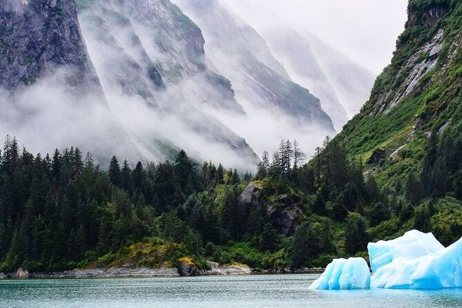 Tracy Arm Fjord and Glacier Explorer from Juneau - Departure Point and Logistics in Juneau