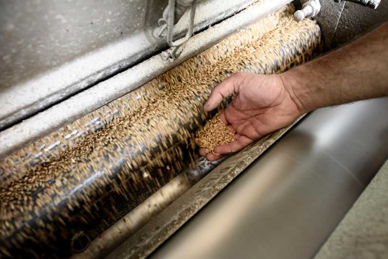 Tradition and taste: tour of Caltagirone's historic mill - Tasting the Flavors of Sicily: Ancient Grains and Hemp Drinks