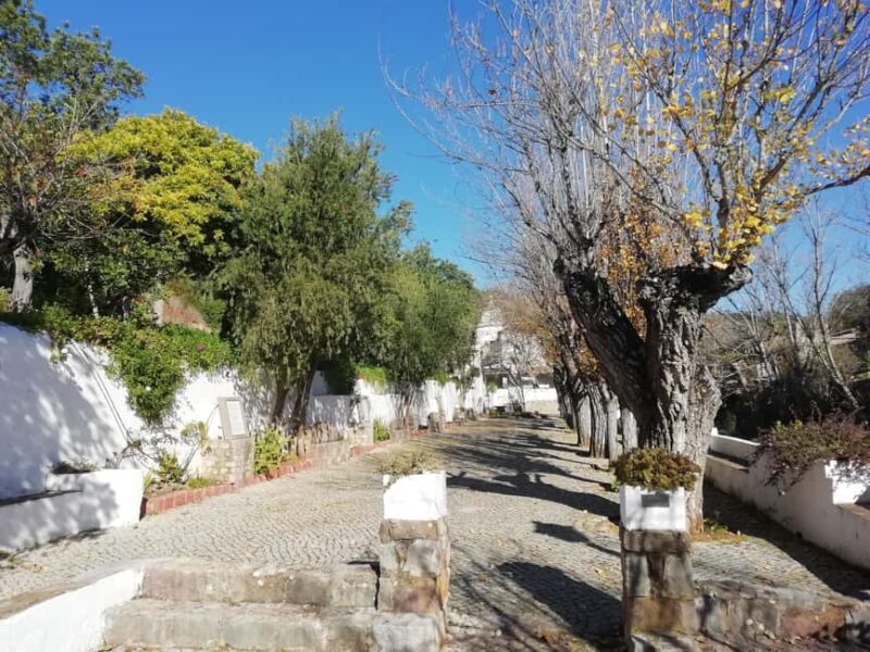 Traditional Algarve - Visiting Serra do Caldeirão: A Mountain Viewpoint Experience