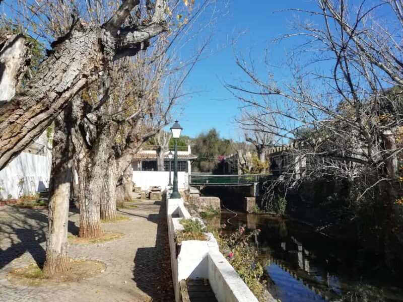 Traditional Algarve - Discovering Salir: A Village with Cultural Touches