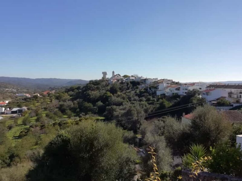 Traditional Algarve - Practical Tips for a Smooth Experience