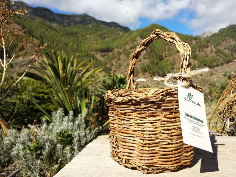 Traditional Basketry Workshop - Crafting Baskets from Canary Island Palms