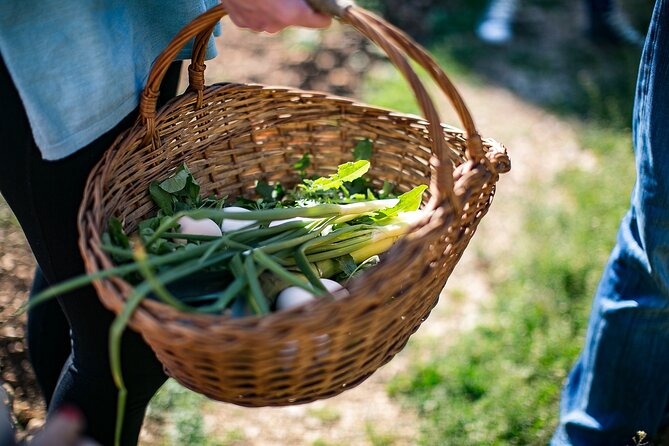 Traditional Cooking Class in Dubrovnik Countryside - Logistics and Group Size