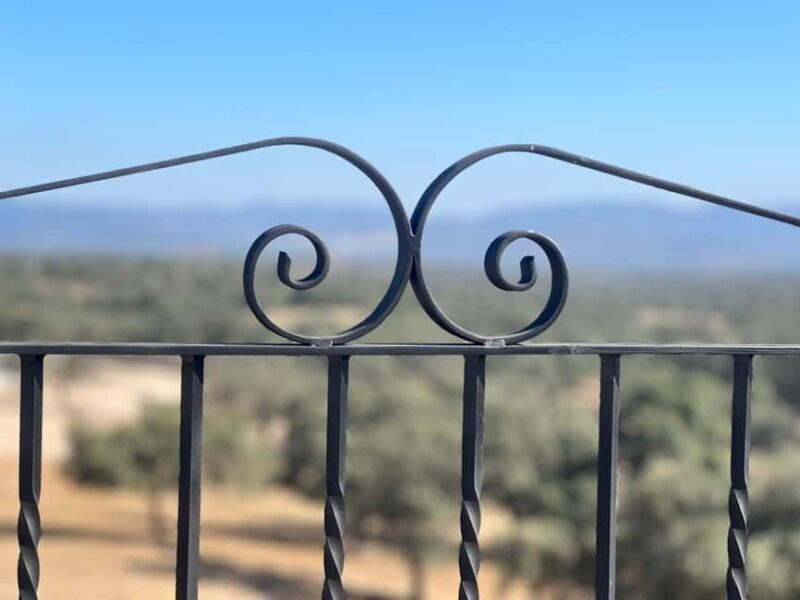 Traditional cuisine and flavors of the pasture in Los Pedroches - Participatory Cooking with Local Hosts in the Natural Environment