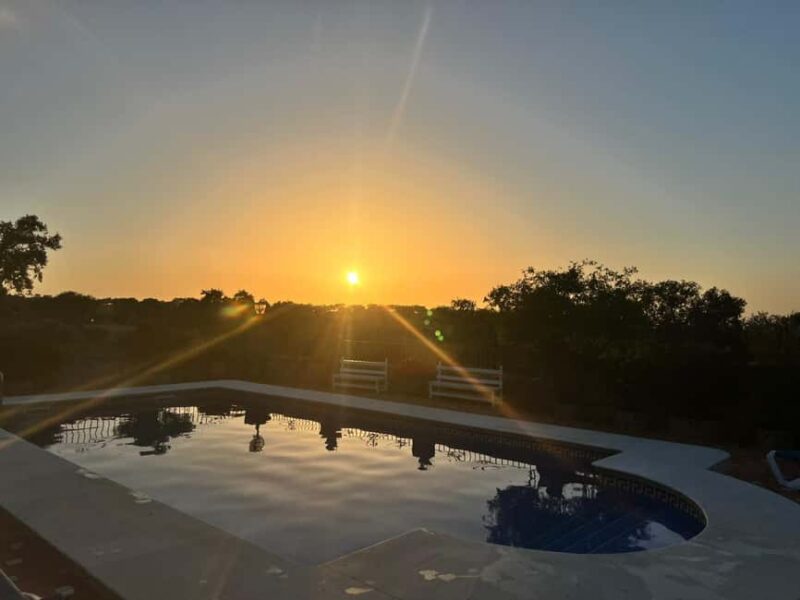 Traditional cuisine and flavors of the pasture in Los Pedroches - How This Tour Compares to Other Córdoba Experiences