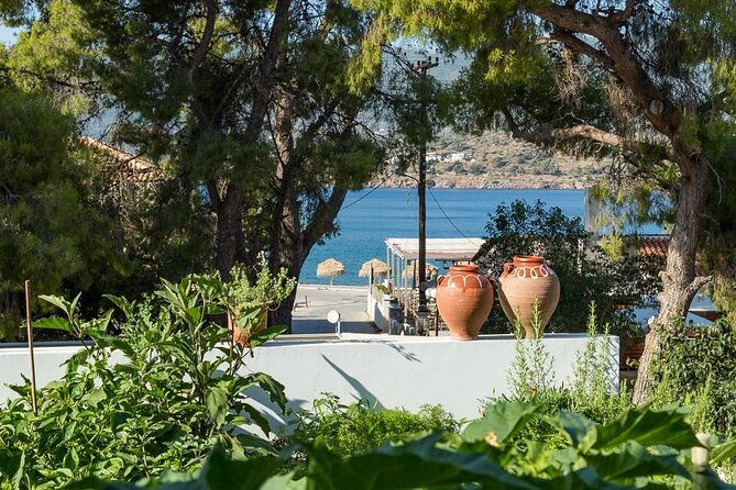 Traditional Greek Cooking Class and Organic Lunch on Poros - Sampling Local Wine and Traditional Drinks