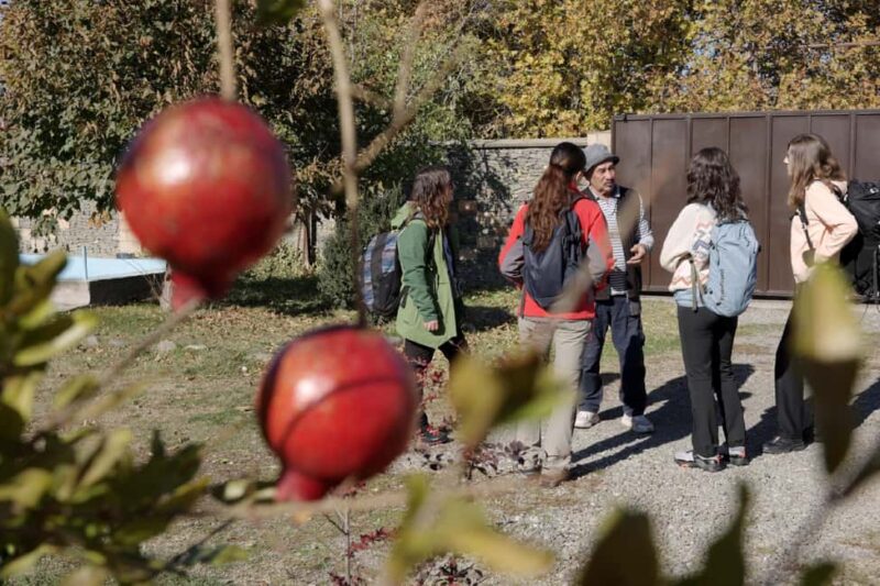 Traditional Horseshoe Blacksmith Workshop near Mtskheta - The Value of a Private, Customizable Experience