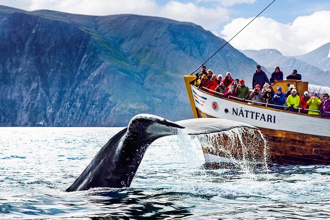 Traditional Oak Ship Whale Watching Tour From Husavik - Husavík’s Traditional Oak Ship: The Heart of Icelandic Whale Watching