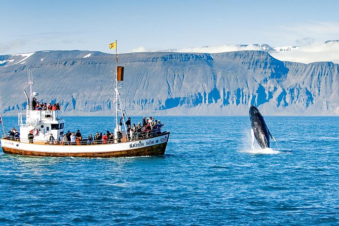 Traditional Oak Ship Whale Watching Tour From Husavik - Why Choose This Tour: An Authentic Maritime Experience