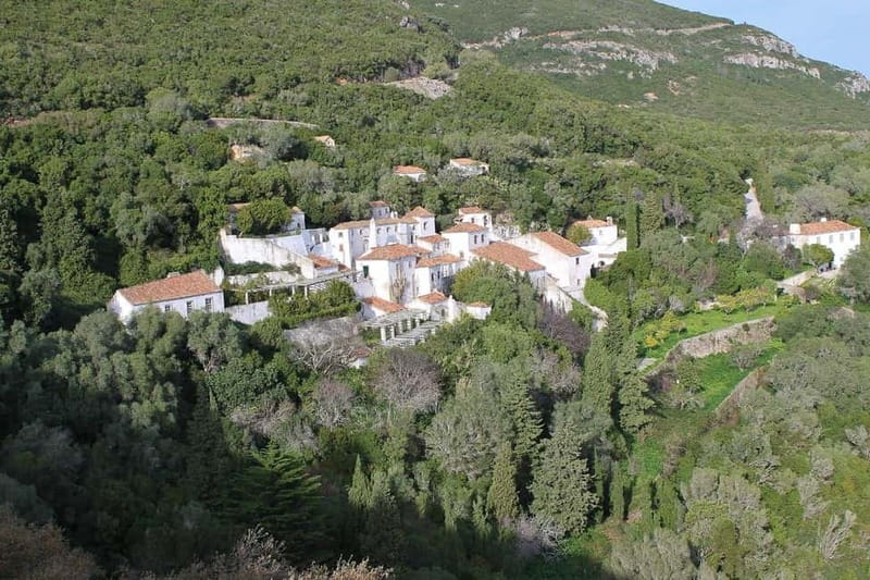 Traditional Private Setúbal Food Tasting Experience - Discovering Portugal’s Fishing Traditions in Setúbal