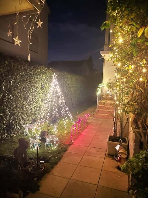 Traditional Swiss Dinner: Cheese Fondue, Appetizers/Dessert - Flexible Booking and Cancellation Terms