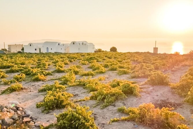 Traditional Villages & Ancient Akrotiri Private Tour - Exploring the Akrotiri Archaeological Site