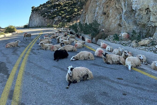 Traditional villages of Chania Private Tour to Explore pure Crete - Visiting the Historic Village of Theriso