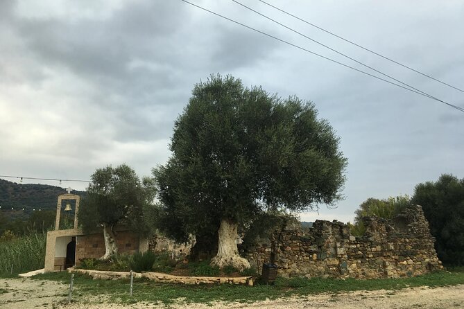 Traditional villages of Chania Private Tour to Explore pure Crete - Convenient and Comfortable Logistics