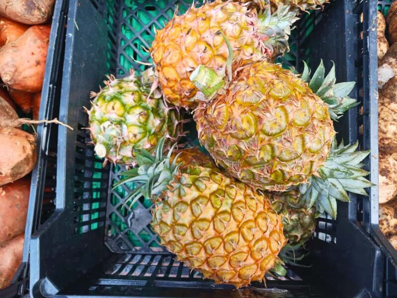 Traditions & Flavors of São Miguel - Key Points