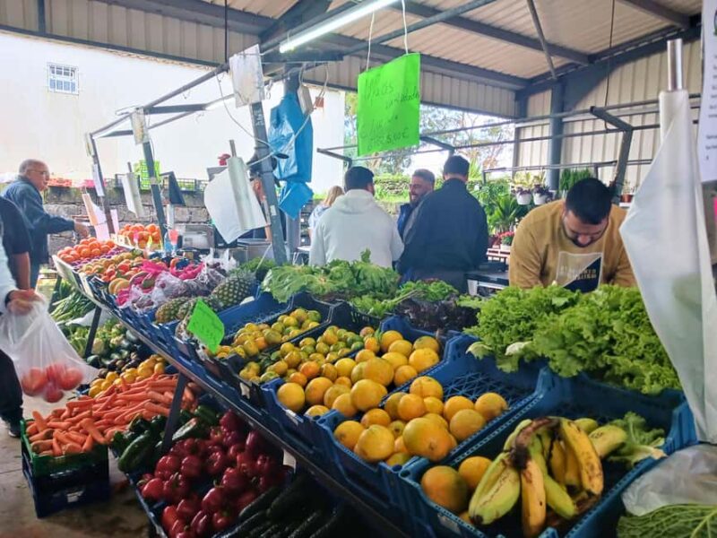 Traditions & Flavors of São Miguel - Final Thoughts on the "Traditions & Flavors of São Miguel" Experience