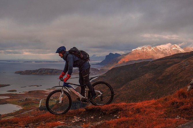 Trail challenge with electric mountainbike - Discover Bodø’s Coastal Wilderness by Electric Mountain Bike for 3 Hours