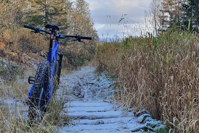 Trail challenge with electric mountainbike - Bodø: A Gateway to Norway’s Coastal and Mountain Beauty