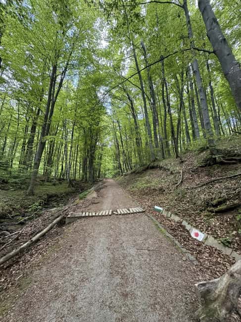 Trail Running Adventure - Explore Bulgaria’s Nature with a Trail Running Adventure in Kyustendil Province