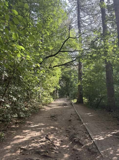 Trail Running Adventure - How the Tour Is Organized and What to Expect