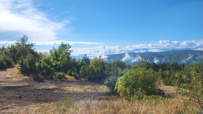 Trail Running Adventure - The Experience Provider and Similar Tours