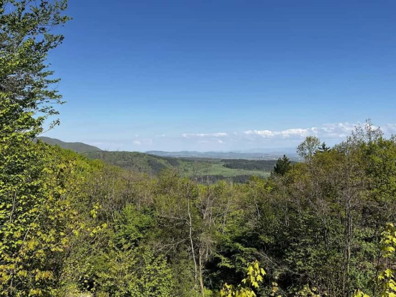 Trail Running Adventure - Final Thoughts on the Vitosha Mountain Trail Running Tour