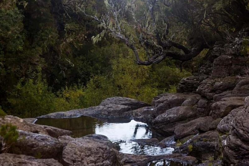Trail to Wind Lagoon  Explore Levada do Alecrim - Final Thoughts on the Wind Lagoon and Levada do Alecrim Tour