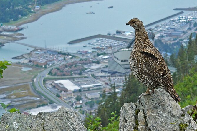 Trails and Ale Tour and Tram Combo - The End of the Tour: Drinks, Refreshments, and Relaxation